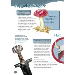 Ansgar og de vilde vikinger