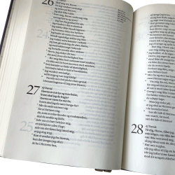 Bibelen med de deuterokanoniske skrifter i kunstskind