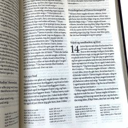 Bibelen med de deuterokanoniske skrifter i kunstskind