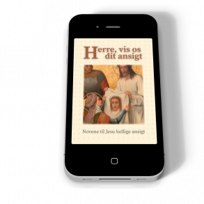 Herre, vis os dit ansigt e-bog