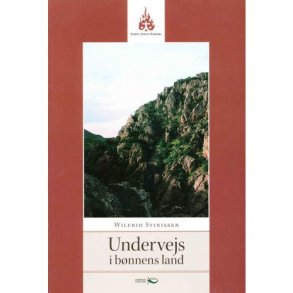 Undervejs i bnnens land