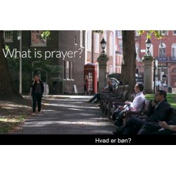 Sycamore - hvad tror katolikker p? Katolsk tro forklaret